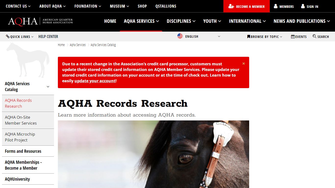 AQHA Records Research - AQHA - American Quarter Horse Association